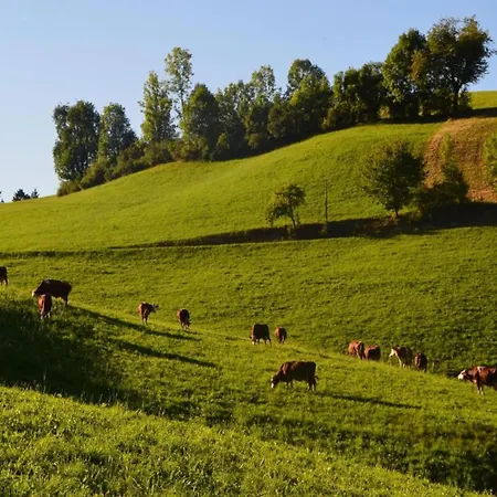 Prázdninový dům Ferienhaus, *