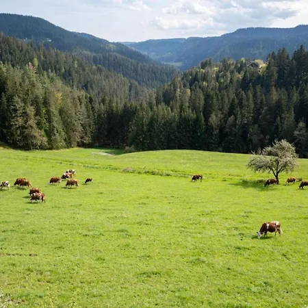Ferienhaus, Prázdninový dům Mühlenbach