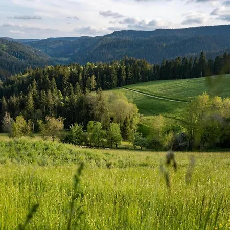 Prázdninový dům Ferienhaus, Mühlenbach