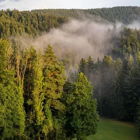 Ferienhaus, * Mühlenbach