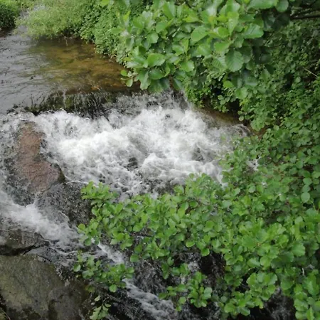 Ferienhaus, Mühlenbach