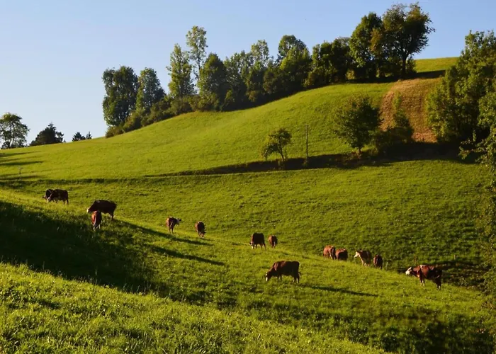 Casa de Férias Ferienhaus, *