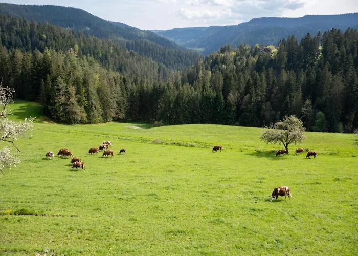 Ferienhaus, Casa de Férias Mühlenbach