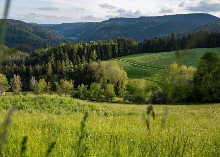 Casa de Férias Ferienhaus, Mühlenbach