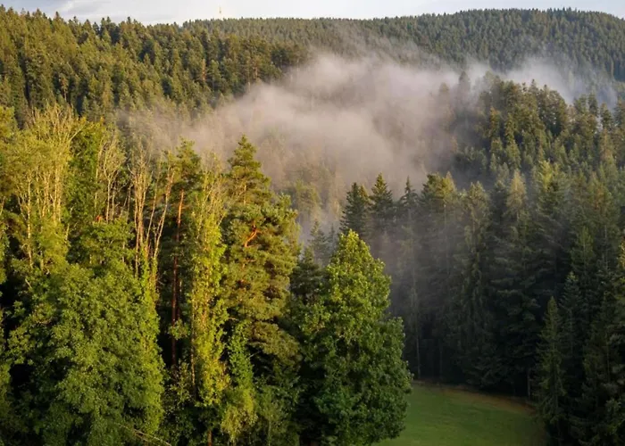 Ferienhaus, * Mühlenbach