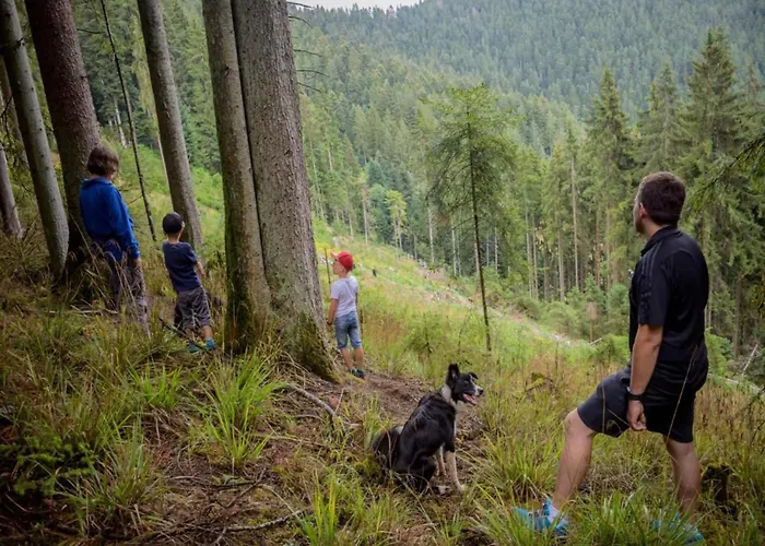 Casa de Férias Ferienhaus, Mühlenbach