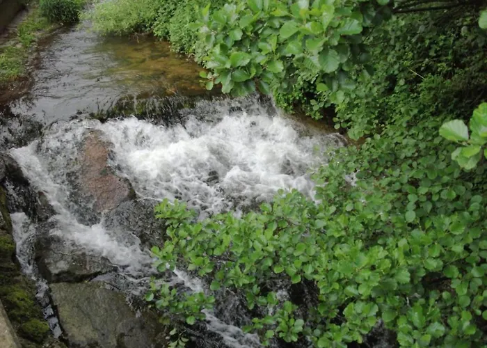 Ferienhaus, Mühlenbach